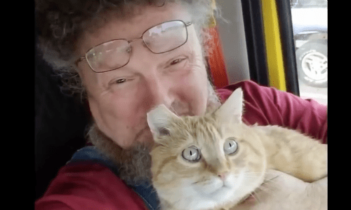 The Life Of a Truck Driver Is No Longer Lonely Now That He Brings His Cat Along