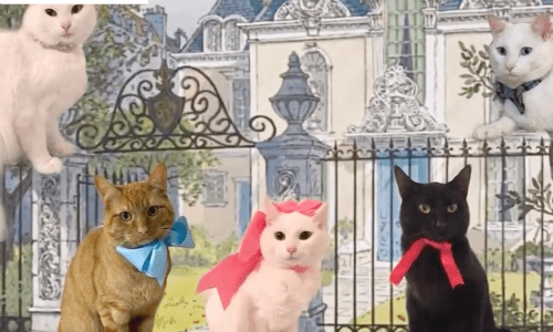 Cat Named After Aristocats Movie Character Ends Up With A Family That Looks Like The Movie’s