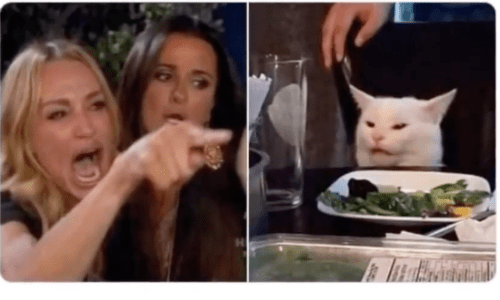 Cat Meme Merged With Famous Scene From The Real Housewives of Beverly Hills