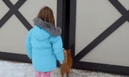 Little Girl Follows Her Cat To The Family Barn And Finds An Amazing Present