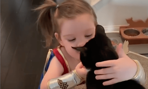 Woman Who Cares For Rescue Cats Wanted Her Young Daughter To Share Her Passion