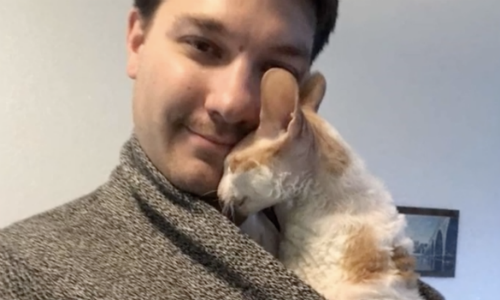 Man Who Claimed He Wasn’t A Cat Person Ends Up Completely Smitten