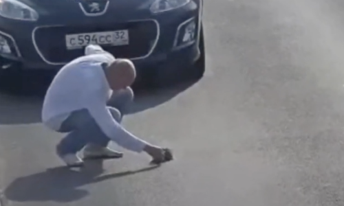 Kitten Alone On Busy Road Gets A Good Samaritan Who Stops To Help