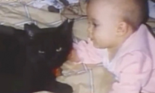 Cat Insists Parents Visit Baby’s Room And Ends Up Saving Baby’s Life