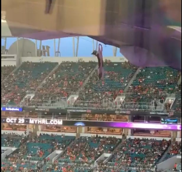 Football Fans Save the Day After Cat is Seen Dangling