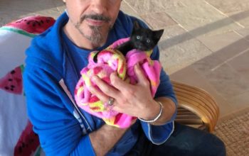 Robert Downey Jr with his cats Montgomery and D'Artagnan