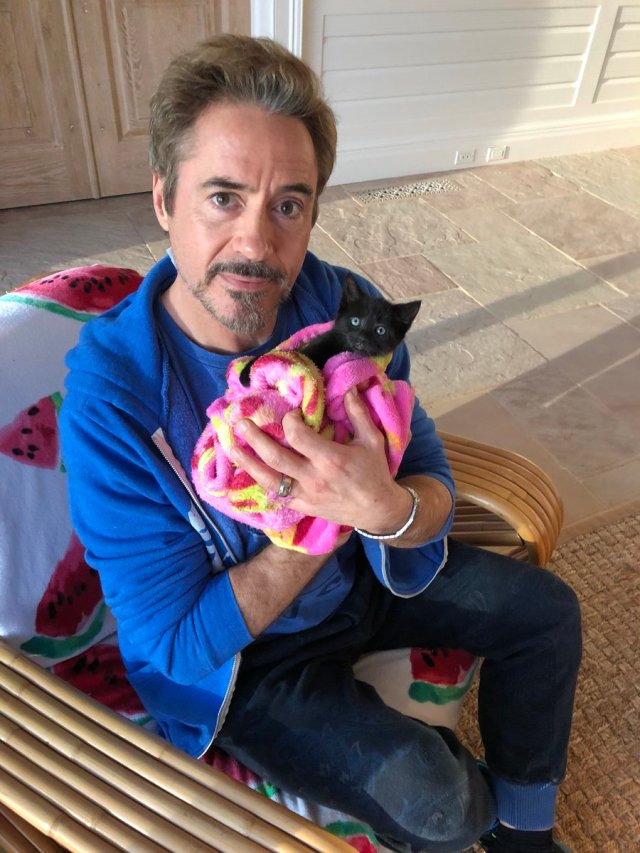 Robert Downey Jr with his cats Montgomery and D'Artagnan