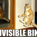 Invisible Bike Cat Meme