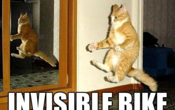 Invisible Bike Cat Meme