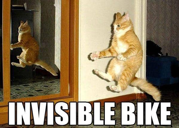 Invisible Bike Cat Meme